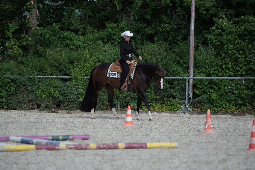 s_APF06599.jpg